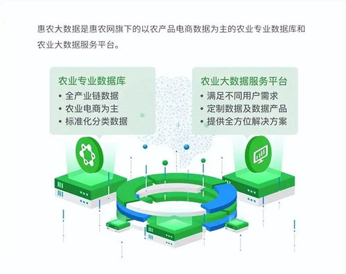 惠農(nóng)網(wǎng) 數(shù)字化產(chǎn)業(yè)服務十年助農(nóng)路，從追趕到超越的數(shù)字內(nèi)容賦能之旅